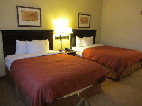 Imagen de la habitación del Hotel Red Roof Inn And Suites Midland. Foto 9