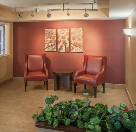 Imagen de los interiores del Hotel Red Roof Inn Ann Arbor - U Of Michigan South. Foto 13
