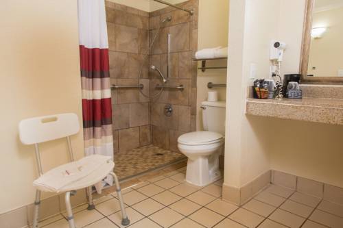 Imagen de la habitación del Hotel Red Roof Inn Ardmore. Foto 12