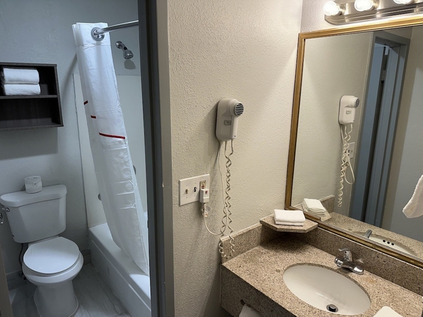Imagen de la habitación del Hotel Red Roof Inn Auburn Hills. Foto 3