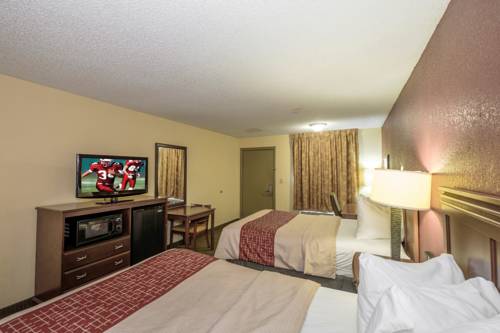 Imagen de la habitación del Hotel Red Roof Inn Baldwin. Foto 7