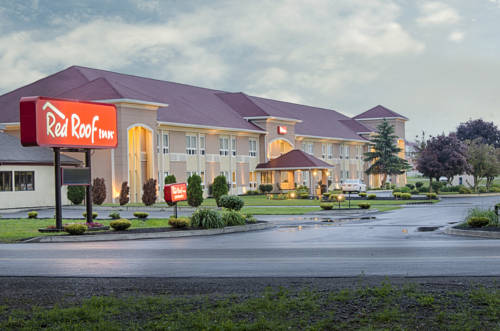 Imagen de la habitación del Hotel Red Roof Inn Batavia. Foto 12