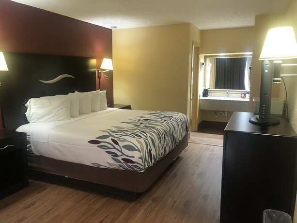 Imagen de la habitación del Hotel Red Roof Inn Berea. Foto 7