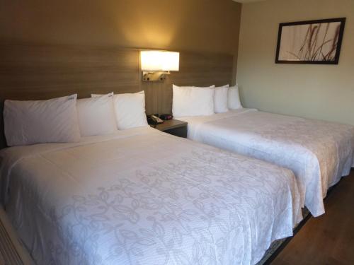 Imagen general del Hotel Red Roof Inn Bourbonnais. Foto 7