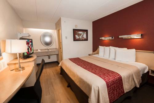 Imagen de la habitación del Hotel Red Roof Inn Chicago - Downers Grove. Foto 4