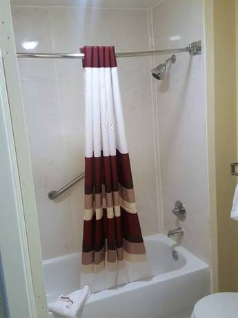 Imagen de la habitación del Hotel Red Roof Inn Conroe North - Willis. Foto 2