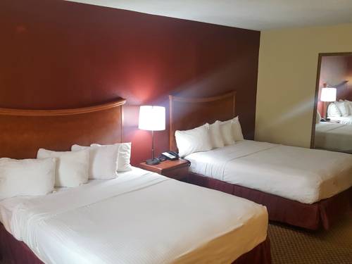 Imagen de la habitación del Hotel Red Roof Inn Conroe North - Willis. Foto 8