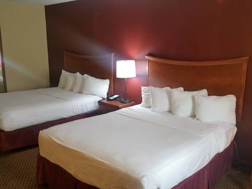 Imagen de la habitación del Hotel Red Roof Inn Conroe North - Willis. Foto 9