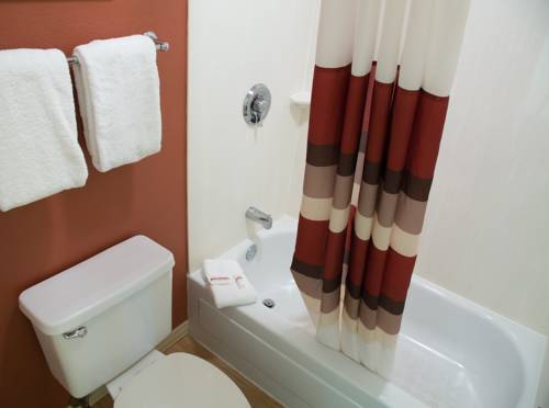 Imagen de la habitación del Hotel Red Roof Inn Detroit - Auburn Hills Rochester Hill. Foto 6