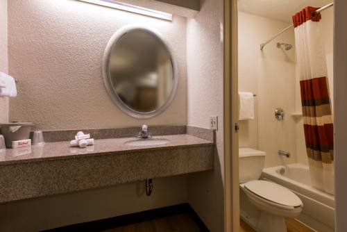 Imagen de la habitación del Hotel Red Roof Inn Detroit Metro Airport - Taylor. Foto 6