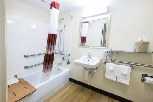 Imagen de la habitación del Hotel Red Roof Inn Detroit Metro Airport - Taylor. Foto 8