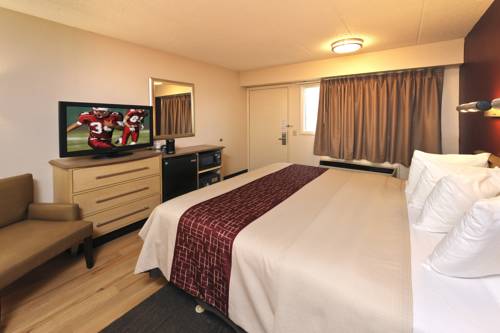 Imagen de la habitación del Hotel Red Roof Inn Detroit Metro Airport - Taylor. Foto 9