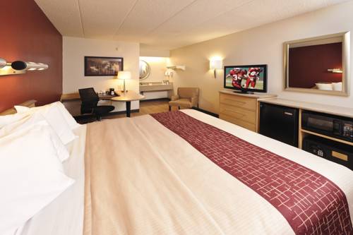 Imagen de la habitación del Hotel Red Roof Inn Detroit Metro Airport - Taylor. Foto 10