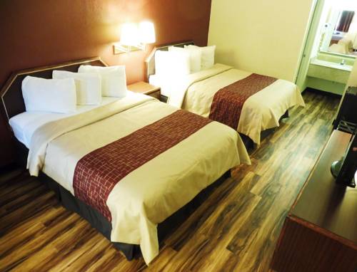 Imagen de la habitación del Hotel Red Roof Inn Edgewood. Foto 4