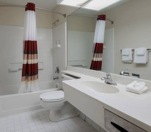 Imagen de la habitación del Hotel Red Roof Inn Ellenton. Foto 3