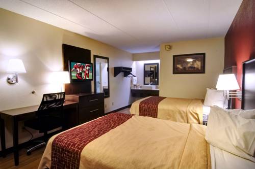 Imagen de la habitación del Hotel Red Roof Inn Flint - Bishop Airport. Foto 15