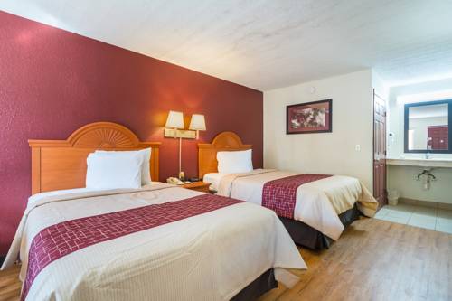 Imagen de la habitación del Hotel Red Roof Inn Ft Pierce. Foto 12