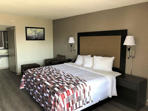 Imagen de la habitación del Hotel Red Roof Inn Greenville, NC. Foto 8