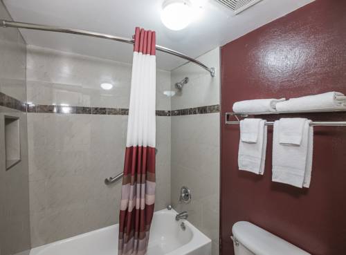 Imagen de la habitación del Hotel Red Roof Inn Kingsland. Foto 9