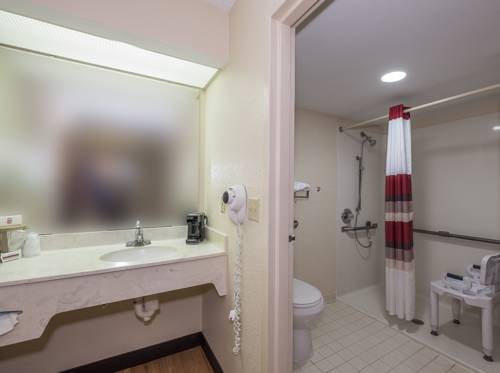 Imagen de la habitación del Hotel Red Roof Inn Kingsland. Foto 12