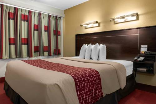 Imagen de la habitación del Hotel Red Roof Inn Lafayette - Purdue University. Foto 14