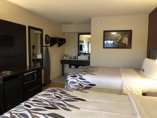 Imagen de la habitación del Hotel Red Roof Inn Lansing East - Michigan State Univers. Foto 3