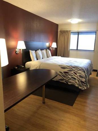 Imagen de la habitación del Hotel Red Roof Inn Lansing East - Michigan State Univers. Foto 4