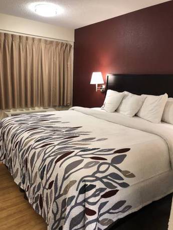 Imagen de la habitación del Hotel Red Roof Inn Lansing East - Michigan State Univers. Foto 5