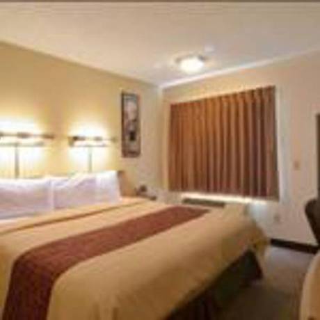 Imagen de la habitación del Hotel Red Roof Inn Lexington. Foto 13