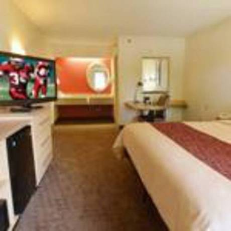 Imagen de la habitación del Hotel Red Roof Inn Lexington. Foto 14