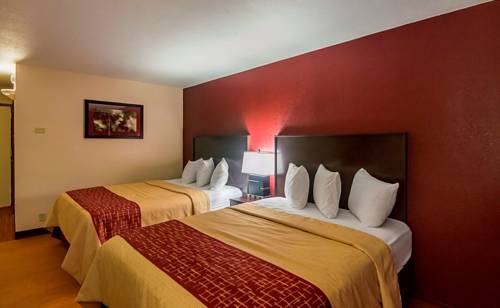 Imagen de la habitación del Hotel Red Roof Inn Lubbock. Foto 6