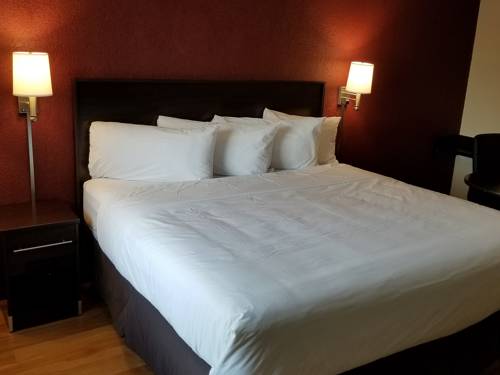 Imagen de la habitación del Hotel Red Roof Inn Marion. Foto 4