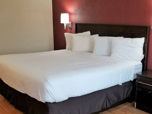 Imagen de la habitación del Hotel Red Roof Inn Marion. Foto 5