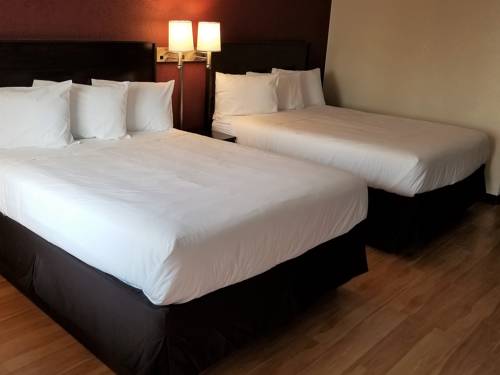 Imagen de la habitación del Hotel Red Roof Inn Marion. Foto 8