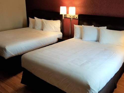 Imagen de la habitación del Hotel Red Roof Inn Marion. Foto 9