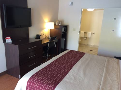 Imagen de la habitación del Hotel Red Roof Inn Merrillville. Foto 2