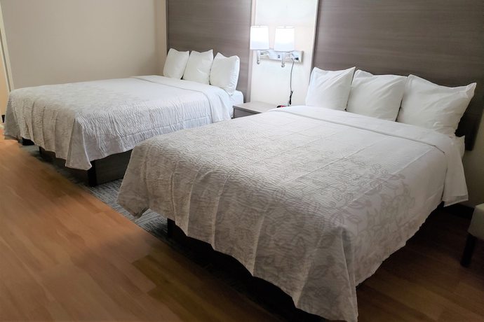 Imagen de la habitación del Hotel Red Roof Inn Moss Point. Foto 7