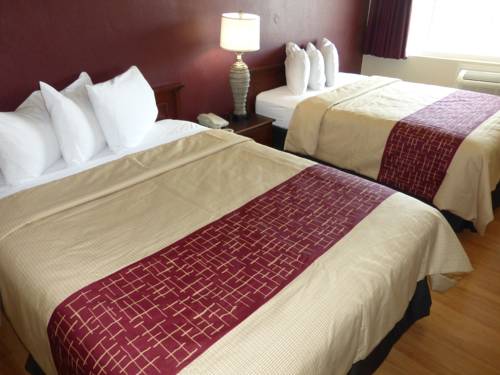 Imagen de la habitación del Hotel Red Roof Inn Needles. Foto 3