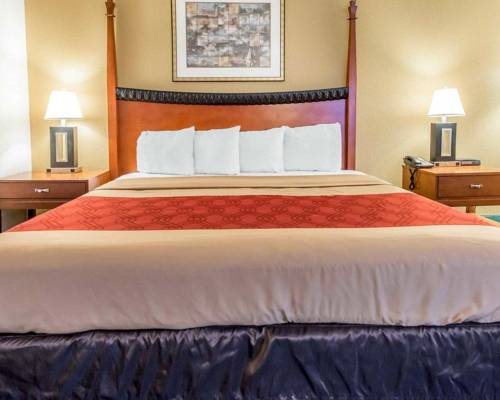 Imagen de la habitación del Hotel Red Roof Inn New Stanton. Foto 7