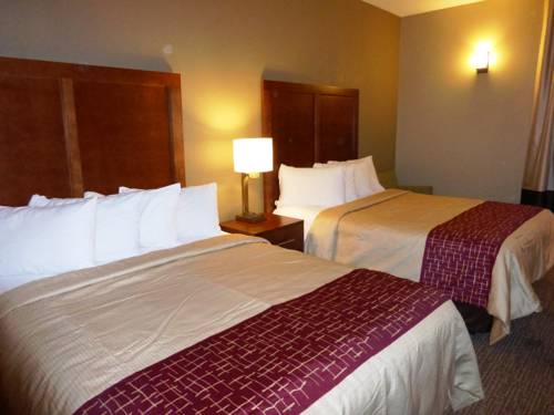 Imagen de la habitación del Hotel Red Roof Inn Newport News - Yorktown. Foto 2