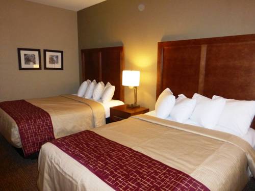 Imagen de la habitación del Hotel Red Roof Inn Newport News - Yorktown. Foto 4