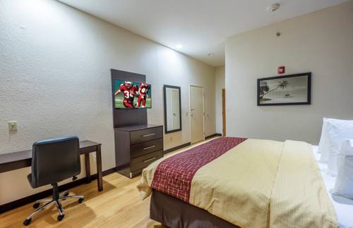 Imagen de la habitación del Hotel Red Roof Inn Ocala. Foto 3