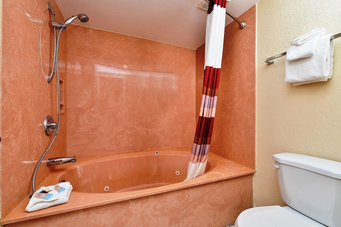 Imagen de la habitación del Hotel Red Roof Inn Orlando South - Florida Mall. Foto 10