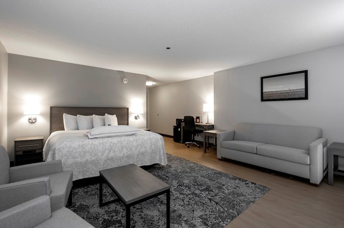 Imagen de la habitación del Hotel Red Roof Inn PLUS+ Boston - Mansfield/ Foxboro. Foto 6