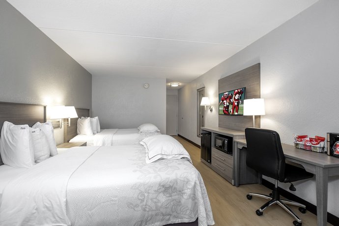 Imagen de la habitación del Hotel Red Roof Inn PLUS+ Boston - Mansfield/ Foxboro. Foto 9
