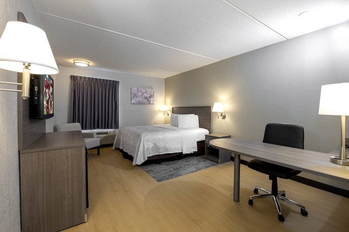 Imagen de la habitación del Hotel Red Roof Inn PLUS+ Boston - Mansfield/ Foxboro. Foto 11