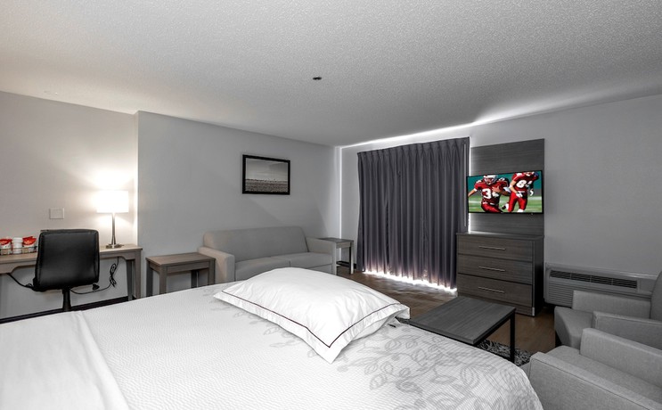 Imagen de la habitación del Hotel Red Roof Inn PLUS+ Boston - Mansfield/ Foxboro. Foto 12
