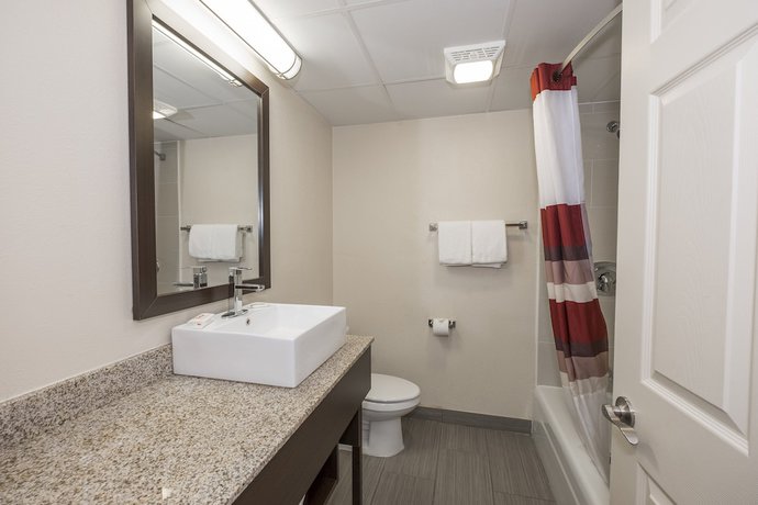 Imagen de la habitación del Hotel Red Roof Inn PLUS+ Poughkeepsie. Foto 11