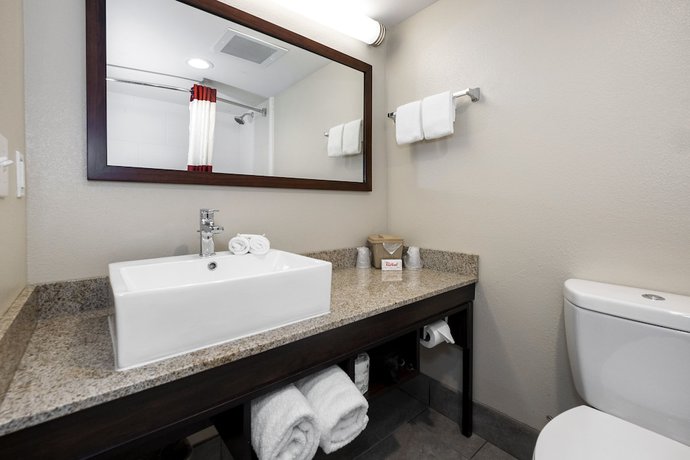 Imagen de la habitación del Hotel Red Roof Inn PLUS+ Tuscaloosa - University. Foto 7