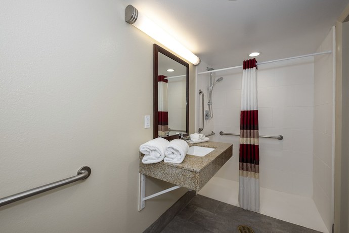 Imagen de la habitación del Hotel Red Roof Inn PLUS+ Tuscaloosa - University. Foto 9